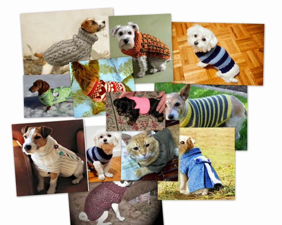 patrones de abrigos para mascotas