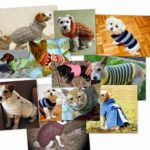 patrones de abrigos para mascotas